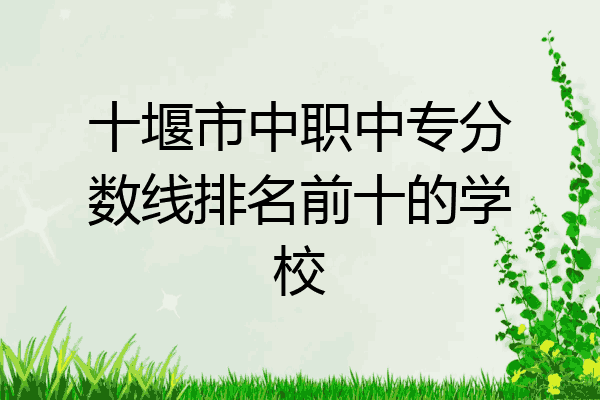 十堰市中职中专分数线排名前十的学校