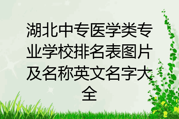 湖北中专医学类专业学校排名表图片及名称英文名字大全