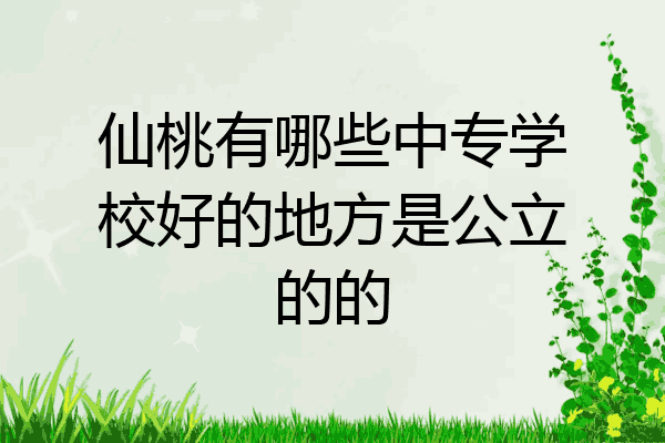 仙桃有哪些中专学校好的地方是公立的的