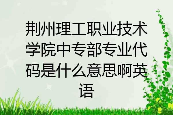 荆州理工职业技术学院中专部专业代码是什么意思啊英语