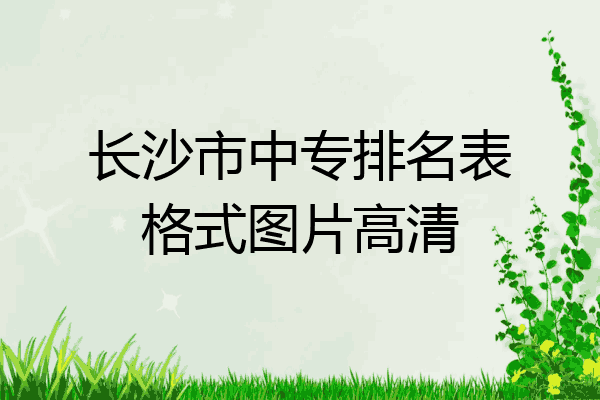 长沙市中专排名表格式图片高清