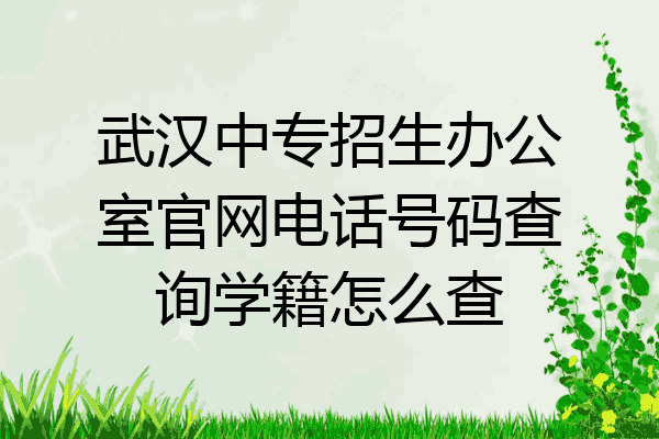 武汉中专招生办公室官网电话号码查询学籍怎么查