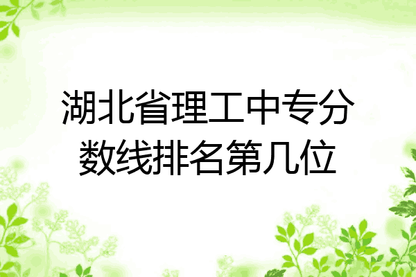湖北省理工中专分数线排名第几位