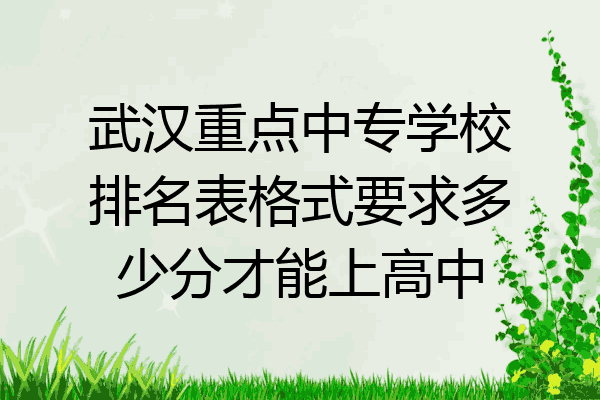 武汉重点中专学校排名表格式要求多少分才能上高中