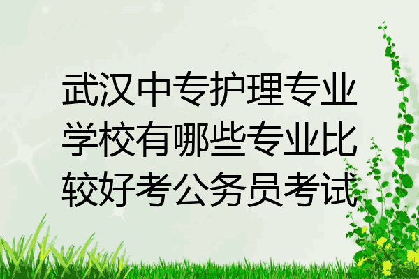 武汉中专护理专业学校有哪些专业比较好考公务员考试