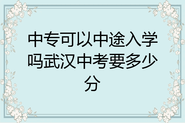 中专可以中途入学吗武汉中考要多少分