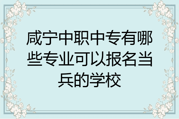 咸宁中职中专有哪些专业可以报名当兵的学校