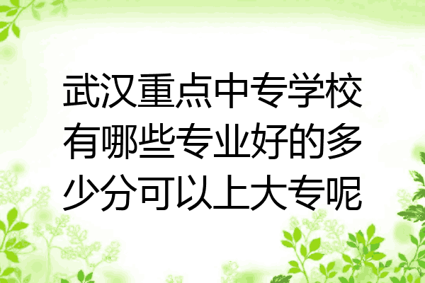 武汉重点中专学校有哪些专业好的多少分可以上大专呢