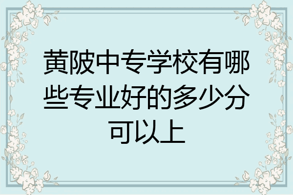 黄陂中专学校有哪些专业好的多少分可以上