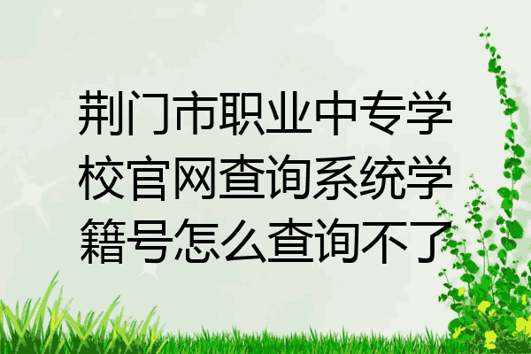 荆门市职业中专学校官网查询系统学籍号怎么查询不了