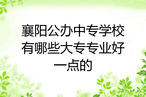 襄阳公办中专学校有哪些大专专业好一点的