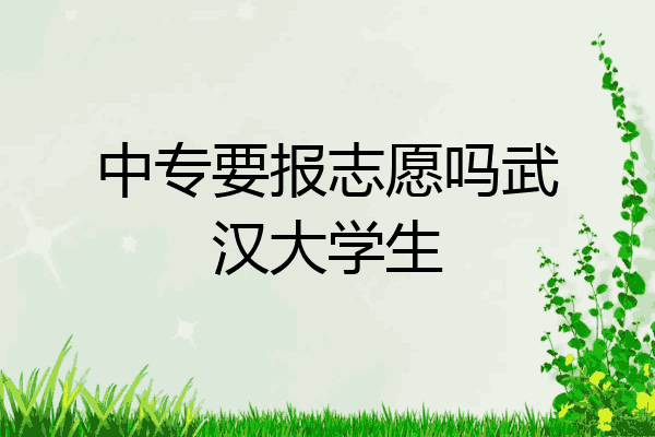 中专要报志愿吗武汉大学生
