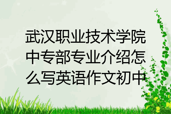 武汉职业技术学院中专部专业介绍怎么写英语作文初中