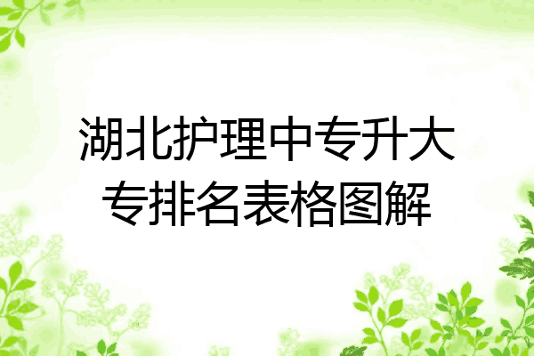 湖北护理中专升大专排名表格图解