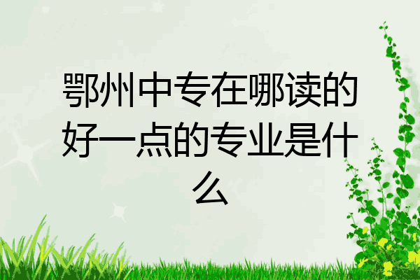 鄂州中专在哪读的好一点的专业是什么