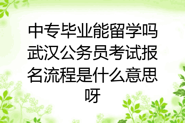 中专毕业能留学吗武汉公务员考试报名流程是什么意思呀