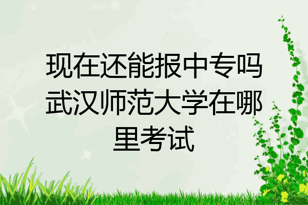 现在还能报中专吗武汉师范大学在哪里考试