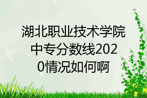 湖北职业技术学院中专分数线2020情况如何啊