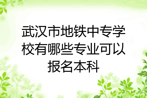 武汉市地铁中专学校有哪些专业可以报名本科