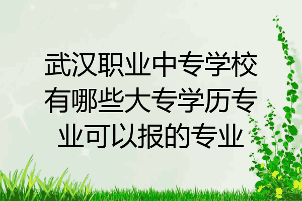 武汉职业中专学校有哪些大专学历专业可以报的专业