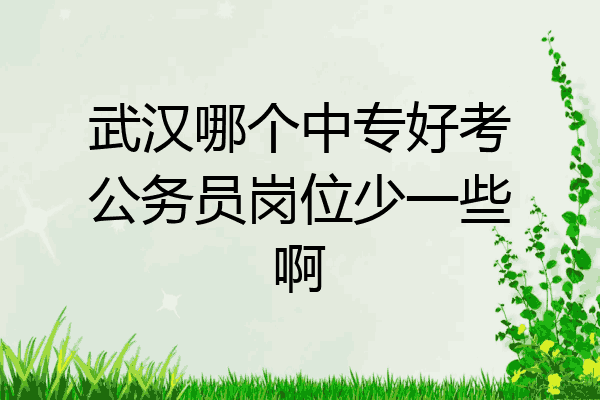 武汉哪个中专好考公务员岗位少一些啊