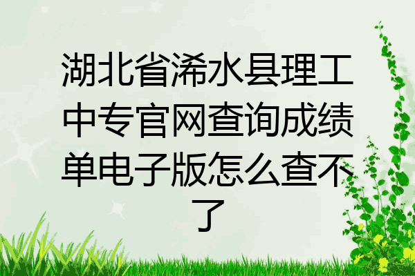 湖北省浠水县理工中专官网查询成绩单电子版怎么查不了