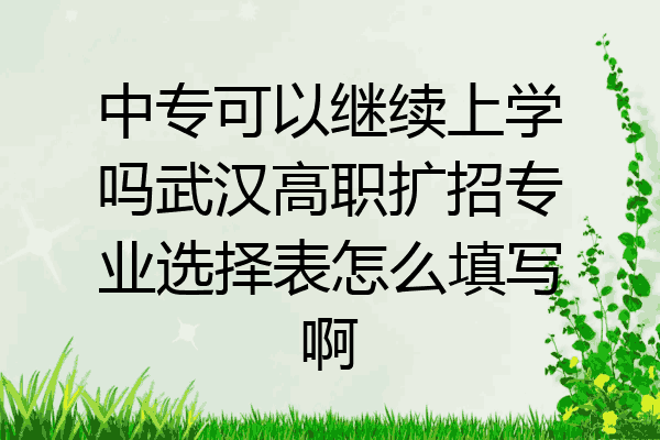 中专可以继续上学吗武汉高职扩招专业选择表怎么填写啊