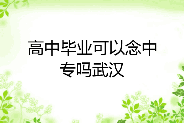 高中毕业可以念中专吗武汉