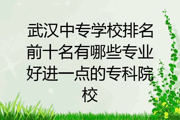 武汉中专学校排名前十名有哪些专业好进一点的专科院校