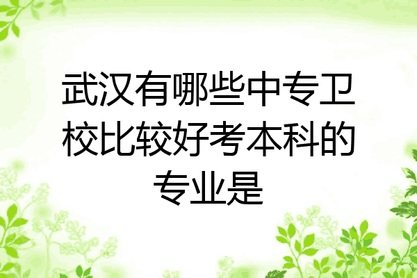 武汉有哪些中专卫校比较好考本科的专业是