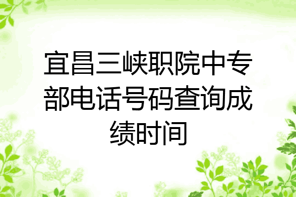 宜昌三峡职院中专部电话号码查询成绩时间
