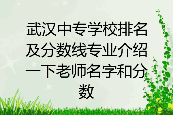 武汉中专学校排名及分数线专业介绍一下老师名字和分数