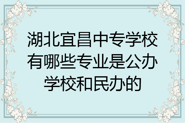 湖北宜昌中专学校有哪些专业是公办学校和民办的