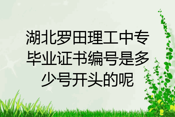 湖北罗田理工中专毕业证书编号是多少号开头的呢