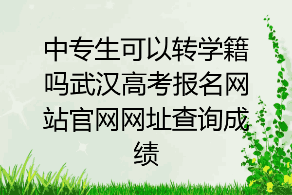 中专生可以转学籍吗武汉高考报名网站官网网址查询成绩