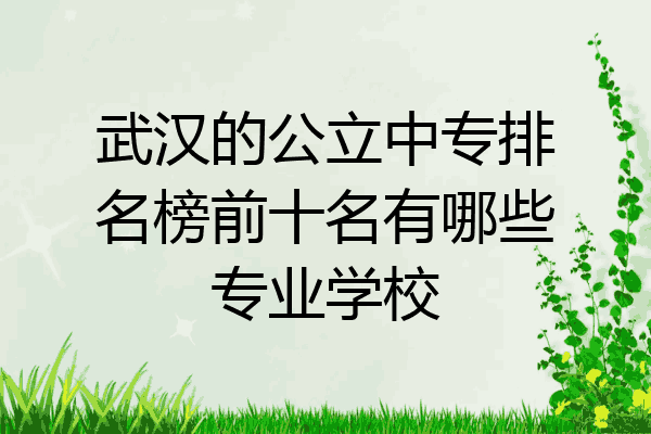 武汉的公立中专排名榜前十名有哪些专业学校