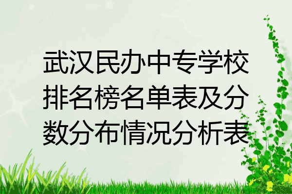 武汉民办中专学校排名榜名单表及分数分布情况分析表