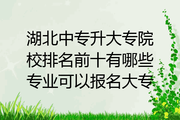 湖北中专升大专院校排名前十有哪些专业可以报名大专