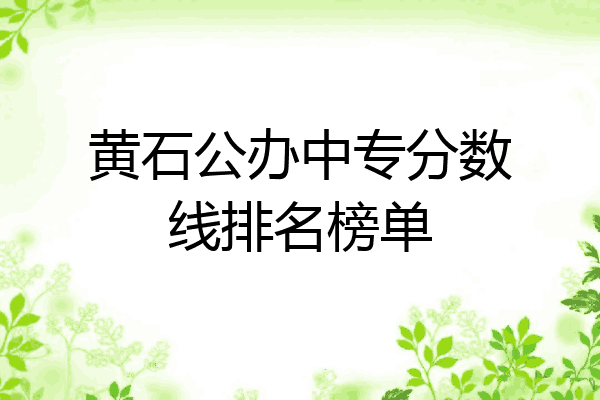 黄石公办中专分数线排名榜单