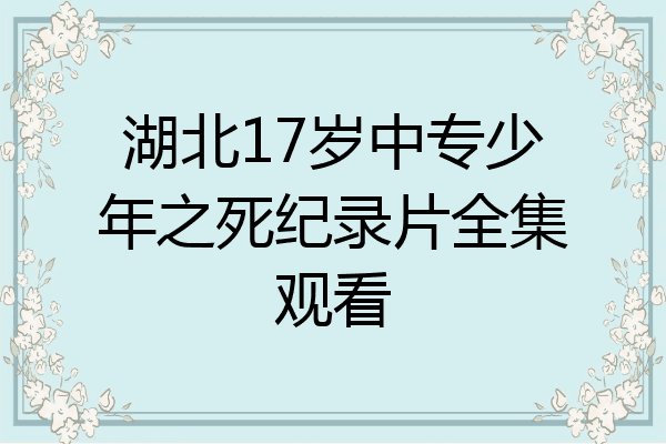 湖北17岁中专少年之死纪录片全集观看