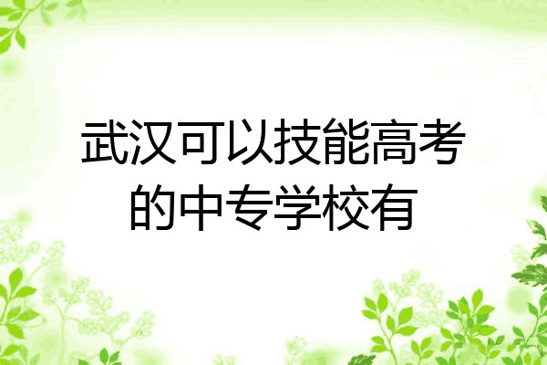 武汉可以技能高考的中专学校有