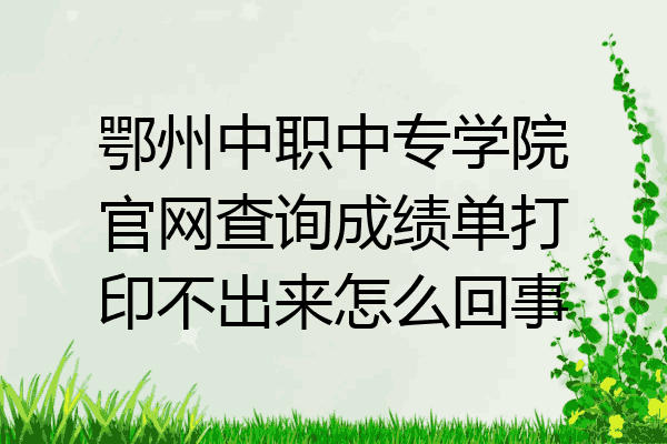 鄂州中职中专学院官网查询成绩单打印不出来怎么回事