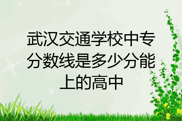 武汉交通学校中专分数线是多少分能上的高中