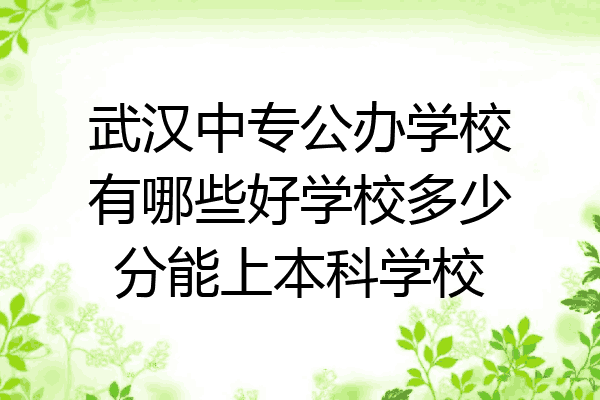 武汉中专公办学校有哪些好学校多少分能上本科学校