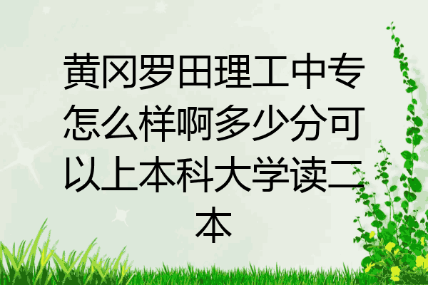 黄冈罗田理工中专怎么样啊多少分可以上本科大学读二本