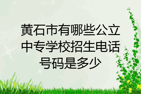 黄石市有哪些公立中专学校招生电话号码是多少