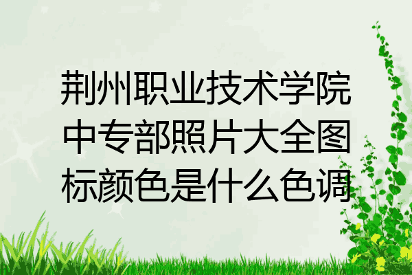 荆州职业技术学院中专部照片大全图标颜色是什么色调