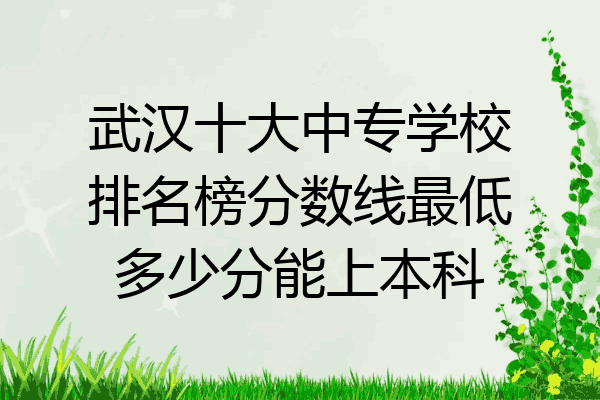 武汉十大中专学校排名榜分数线最低多少分能上本科
