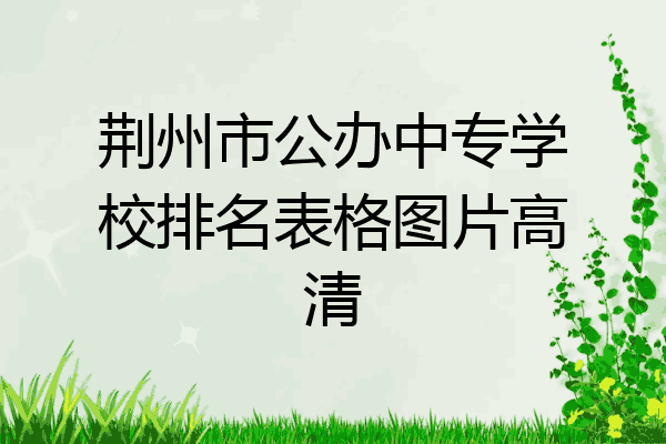 荆州市公办中专学校排名表格图片高清