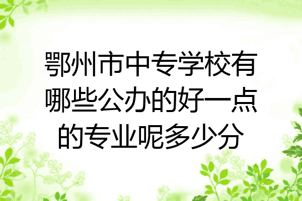 鄂州市中专学校有哪些公办的好一点的专业呢多少分